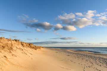 Sunny Morning at Beach at Cape Cod National Seashore