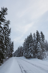 Small frozen dirt road at countryside Finland