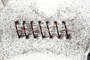 Iron powder shows the magnetic lines of forces in a coil, where a current of 20 Amperes flow.