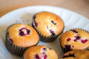 Homemade bluebberry muffins