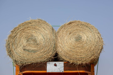 Fodder for livestock