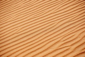 Form the desert sands