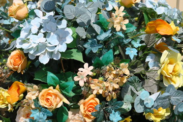 Plantes d'automne séchées 