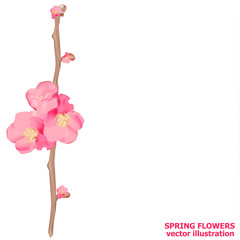 Bright spring flowers. Spring sale background with beautiful colorful flowers. Vector illustration.