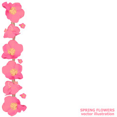 Bright spring flowers. Spring sale background with beautiful colorful flowers. Vector illustration.
