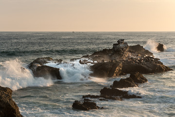 Sealions resting on rocks, Salinas Ecuador