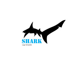 vector shark logo
