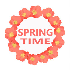 Bright spring flowers. Spring time background with beautiful colorful flowers.