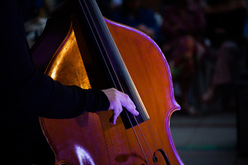 Bass player performing with double bass