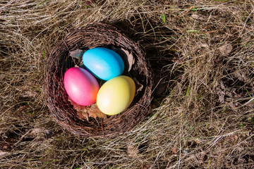 Painted Easter eggs in a nest on spring grass