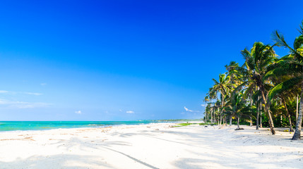 View on Caribbean tropical beach by Palomino in Colombia
