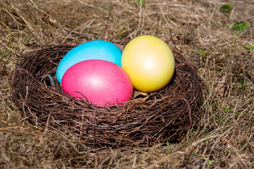 Fototapeta na wymiar Painted Easter eggs in a nest on spring grass