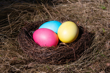 Painted Easter eggs in a nest on spring grass