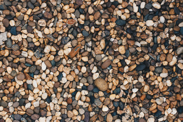 pebbles on the beach