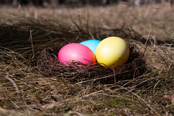 Painted Easter eggs in a nest on spring grass