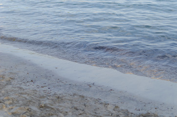 PLAYA MURO BAHIA ALCUDIA MALLORCA