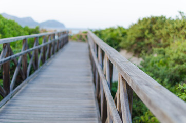 Obraz premium PLAYA MURO BAHIA ALCUDIA