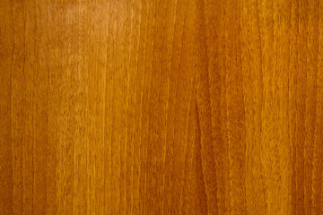 Bright wooden texture as a background