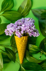Waffle cone with violet flowers with leaves