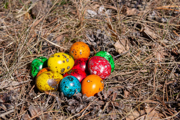 Quail Easter decorated eggs in a forest on spring grass