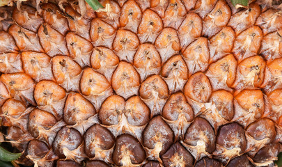 Close up of pineapple fruit / texture pineapple skin background