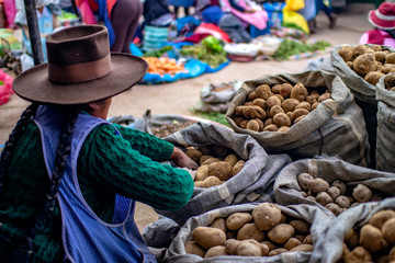 Cusco, Peru - March 31 2019: Indigenous woman selling different types of potatoes at "Vinocanchon San Jeronimo" market. Poor Peruvian female peasant.