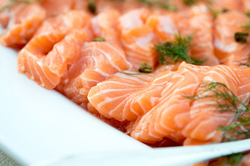 Salmon Sashimi