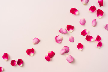 top close up view of red rose petal on pink