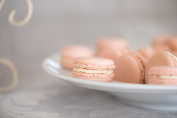 Macaroons on a plate