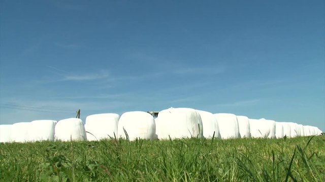 Haystacks in packages standing on the grass on the field. The concept of agricultural development. Haystacks in white packages.