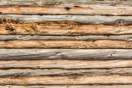 old log wall, texture of antique wooden logs, close up decor abstraction background
