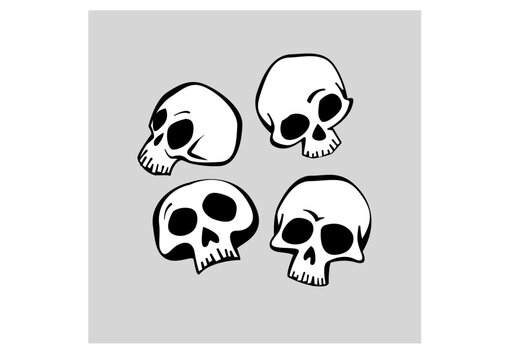 human skull in different angles. vector image for illustration