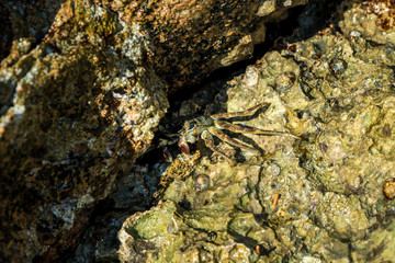Part of the rocky stones for the whole frame