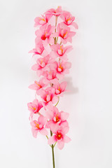 Fototapeta na wymiar artificial flowers