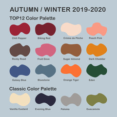 Autumn / Winter 2019-2020 trendy color palette. Fashion color trend. Palette guide with named color swatches. Saturated and classic neutral color samples set. Vector Illustration