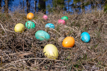 Easter decorated eggs in a forest on spring grass