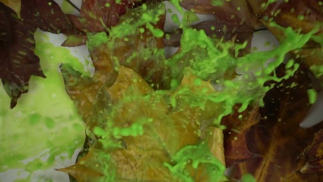 Splashes paints on the autumn leaves in slow motion. 