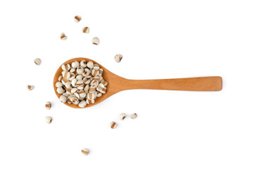 Grains useful of job's tears isolated on white. (Coix lacryma-jobi L.)