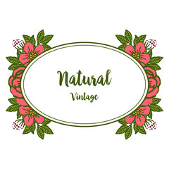 Vector illustration beautiful pink wreath frame with template natural vintage