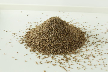 heap of ajwain or Trachyspermum ammi,caraway herb spice seeds 