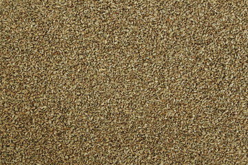ajwain or Trachyspermum ammi,caraway herb spice seeds as background texture