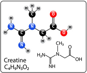 Creatine Molecule Structure