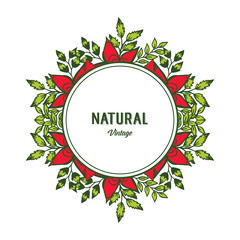 Vector illustration lettering natural vintage for design red flower frame