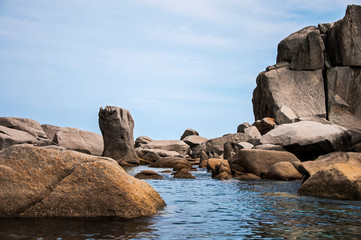 Fototapeta na wymiar color photo of sea stones of strange abstract dog shape