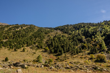 Fototapeta na wymiar Parc Natural de la Vall de Sorteny, Pyraeneen, Andorra