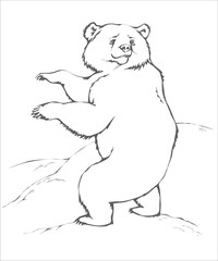 animals_draw_bear