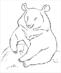 animals_draw_Himalaya-bear