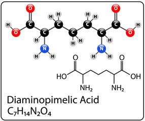 Diaminopimelic Acid Molecule Structure