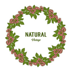 Vector illustration decor natural vintage with crowd of pink rose flower frames blooms