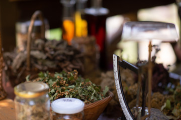 herbalist workshop